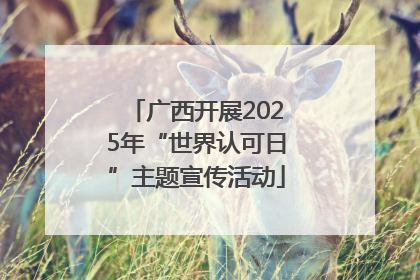广西开展2025年“世界认可日”主题宣传活动