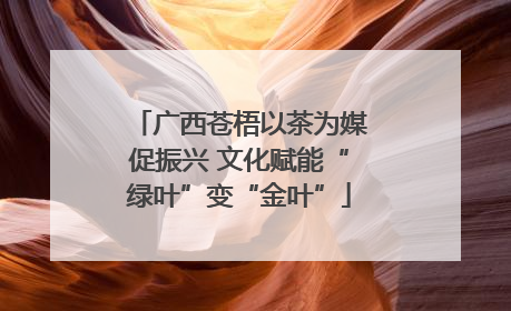 广西苍梧以茶为媒促振兴 文化赋能“绿叶”变“金叶”