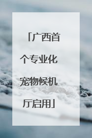 广西首个专业化宠物候机厅启用