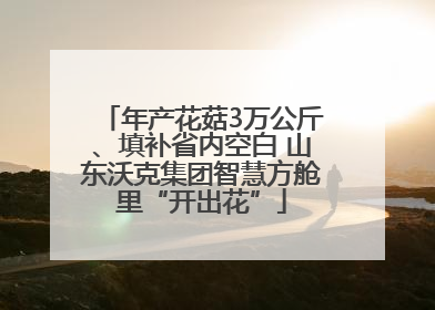 年产花菇3万公斤、填补省内空白 山东沃克集团智慧方舱里“开出花”