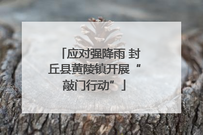 应对强降雨 封丘县黄陵镇开展“敲门行动”