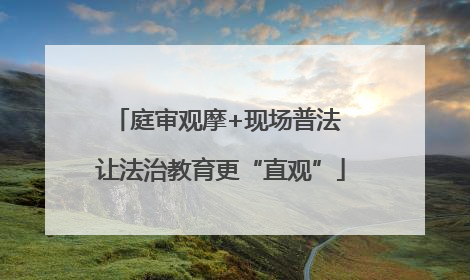 庭审观摩+现场普法 让法治教育更“直观”
