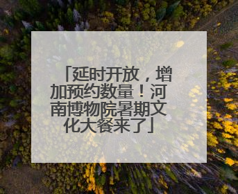 延时开放，增加预约数量！河南博物院暑期文化大餐来了