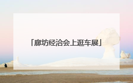 廊坊经洽会上逛车展