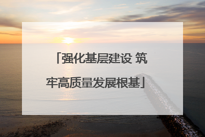 强化基层建设 筑牢高质量发展根基