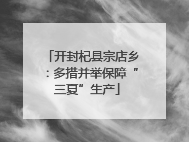开封杞县宗店乡：多措并举保障“三夏”生产