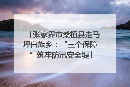 张家界市桑植县走马坪白族乡：“三个保障”筑牢防汛安全堤