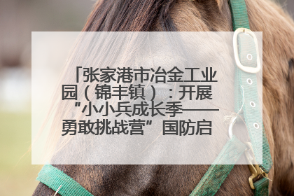 张家港市冶金工业园（锦丰镇）：开展“小小兵成长季——勇敢挑战营”国防启蒙教育活动