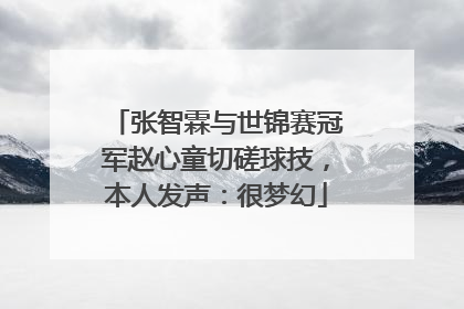 张智霖与世锦赛冠军赵心童切磋球技，本人发声：很梦幻