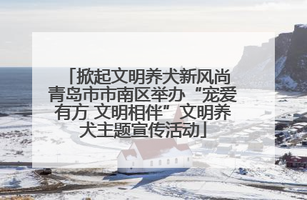 掀起文明养犬新风尚 青岛市市南区举办“宠爱有方 文明相伴”文明养犬主题宣传活动