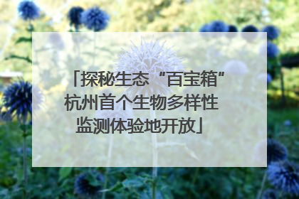 探秘生态“百宝箱” 杭州首个生物多样性监测体验地开放