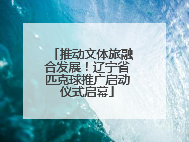推动文体旅融合发展！辽宁省匹克球推广启动仪式启幕