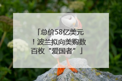 总价58亿美元！波兰拟向美购数百枚“爱国者”