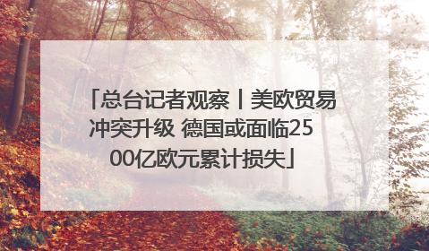 总台记者观察丨美欧贸易冲突升级 德国或面临2500亿欧元累计损失
