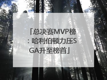 总决赛MVP榜：哈利伯顿力压SGA升至榜首