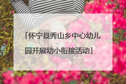 怀宁县秀山乡中心幼儿园开展幼小衔接活动