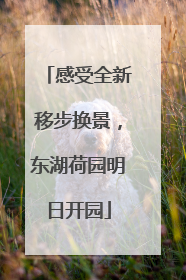 感受全新移步换景，东湖荷园明日开园