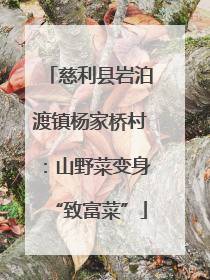 慈利县岩泊渡镇杨家桥村：山野菜变身“致富菜”