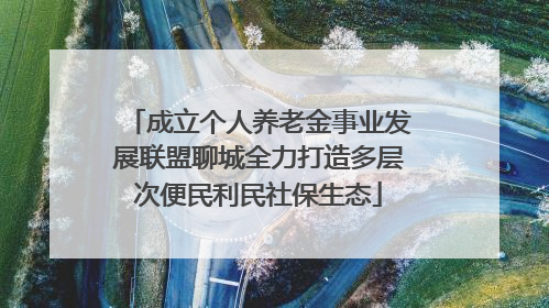 成立个人养老金事业发展联盟聊城全力打造多层次便民利民社保生态