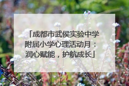 成都市武侯实验中学附属小学心理活动月：润心赋能，护航成长