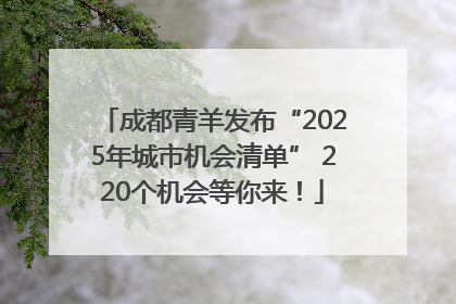 成都青羊发布“2025年城市机会清单” 220个机会等你来！