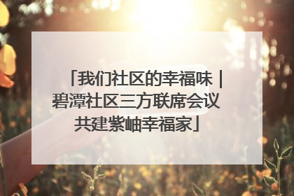 我们社区的幸福味｜碧潭社区三方联席会议共建紫岫幸福家