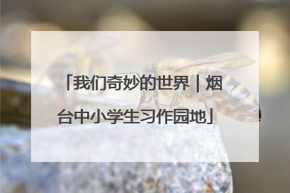我们奇妙的世界｜烟台中小学生习作园地