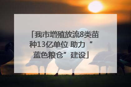 我市增殖放流8类苗种13亿单位 助力“蓝色粮仓”建设