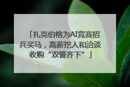 扎克伯格为AI竞赛招兵买马，高薪挖人和洽谈收购“双管齐下”