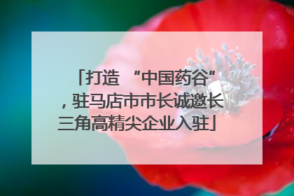 打造 “中国药谷”，驻马店市市长诚邀长三角高精尖企业入驻