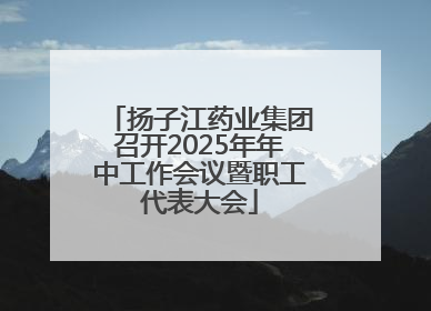 扬子江药业集团召开2025年年中工作会议暨职工代表大会