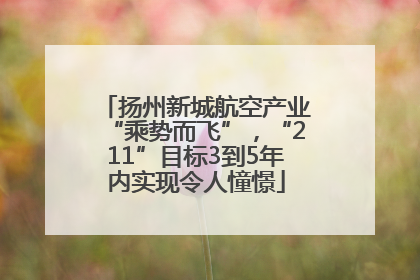 扬州新城航空产业“乘势而飞”，“211”目标3到5年内实现令人憧憬