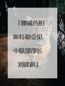 挪威首相斯特勒会见中联部部长刘建超