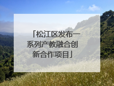 松江区发布一系列产教融合创新合作项目