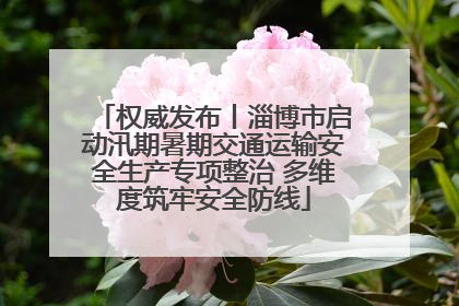 权威发布丨淄博市启动汛期暑期交通运输安全生产专项整治 多维度筑牢安全防线
