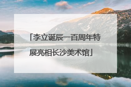李立诞辰一百周年特展亮相长沙美术馆