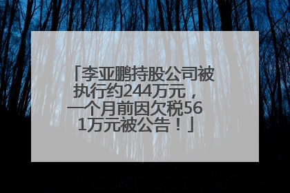 李亚鹏持股公司被执行约244万元，一个月前因欠税561万元被公告！