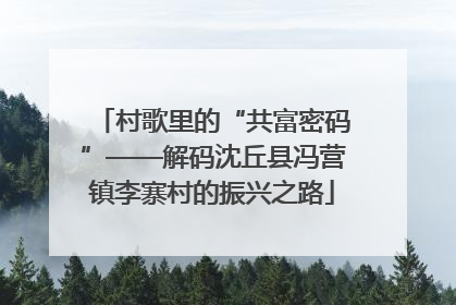 村歌里的“共富密码”——解码沈丘县冯营镇李寨村的振兴之路