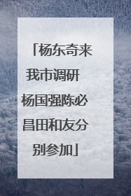 杨东奇来我市调研 杨国强陈必昌田和友分别参加