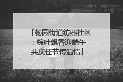 杨园街道纺器社区：粽叶飘香迎端午 共庆佳节传温情
