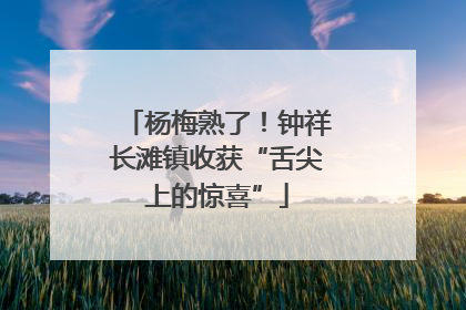 杨梅熟了！钟祥长滩镇收获“舌尖上的惊喜”