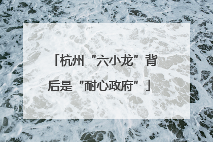 杭州“六小龙”背后是“耐心政府”