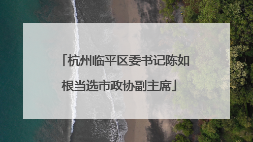 杭州临平区委书记陈如根当选市政协副主席