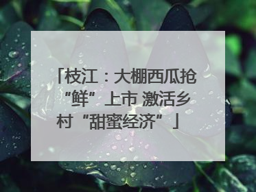 枝江：大棚西瓜抢“鲜”上市 激活乡村“甜蜜经济”