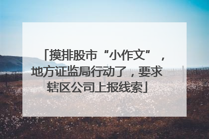 摸排股市“小作文”，地方证监局行动了，要求辖区公司上报线索