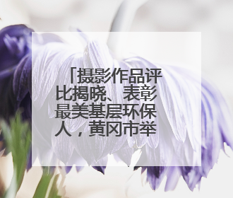 摄影作品评比揭晓、表彰最美基层环保人，黄冈市举办“美丽中国我先行”六五环境日主题宣传活动