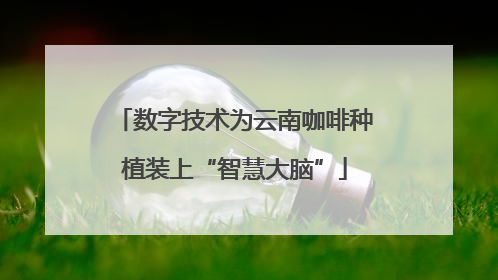 数字技术为云南咖啡种植装上“智慧大脑”