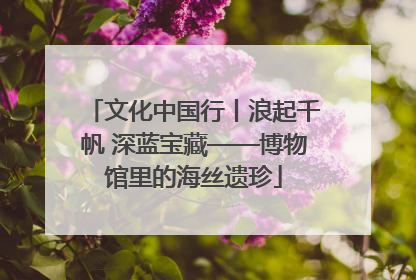 文化中国行丨浪起千帆 深蓝宝藏——博物馆里的海丝遗珍