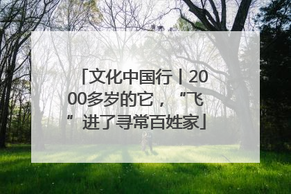 文化中国行丨2000多岁的它，“飞”进了寻常百姓家