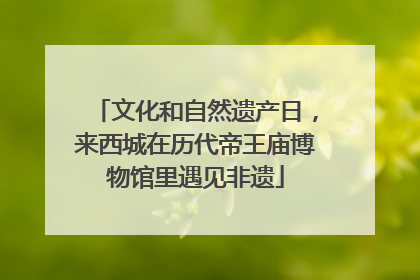 文化和自然遗产日，来西城在历代帝王庙博物馆里遇见非遗